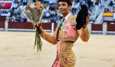 Samuel Castrejón se alza con El Camino hacia Las Ventas - El Mundo