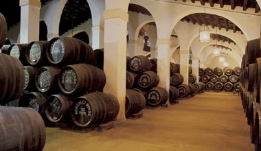 González Byass (Tío Pepe) anuncia despidos en sus sociedades por la caída del consumo de vino - El Mundo