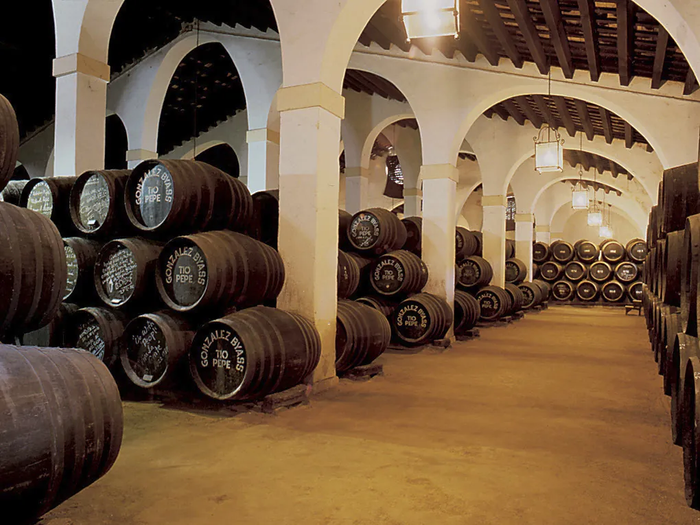 González Byass (Tío Pepe) anuncia despidos en sus sociedades por la caída del consumo de vino - El Mundo