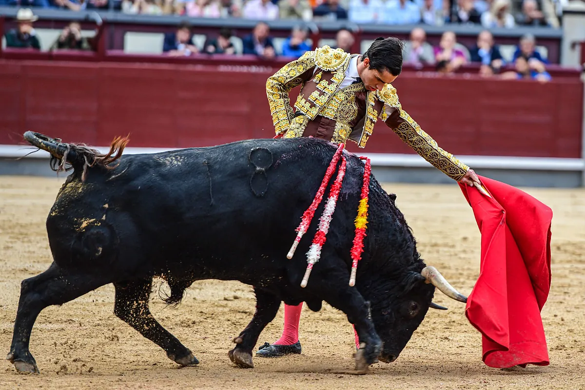 Por fin una novillada "de Madrid"