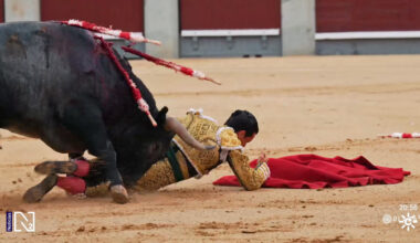 Grave cogida del torero David Galván en Las Ventas
