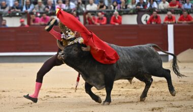 Espantosa cogida de Galván por un Victorino en Las Ventas (fotos y parte médico) y explosiva faena de Román