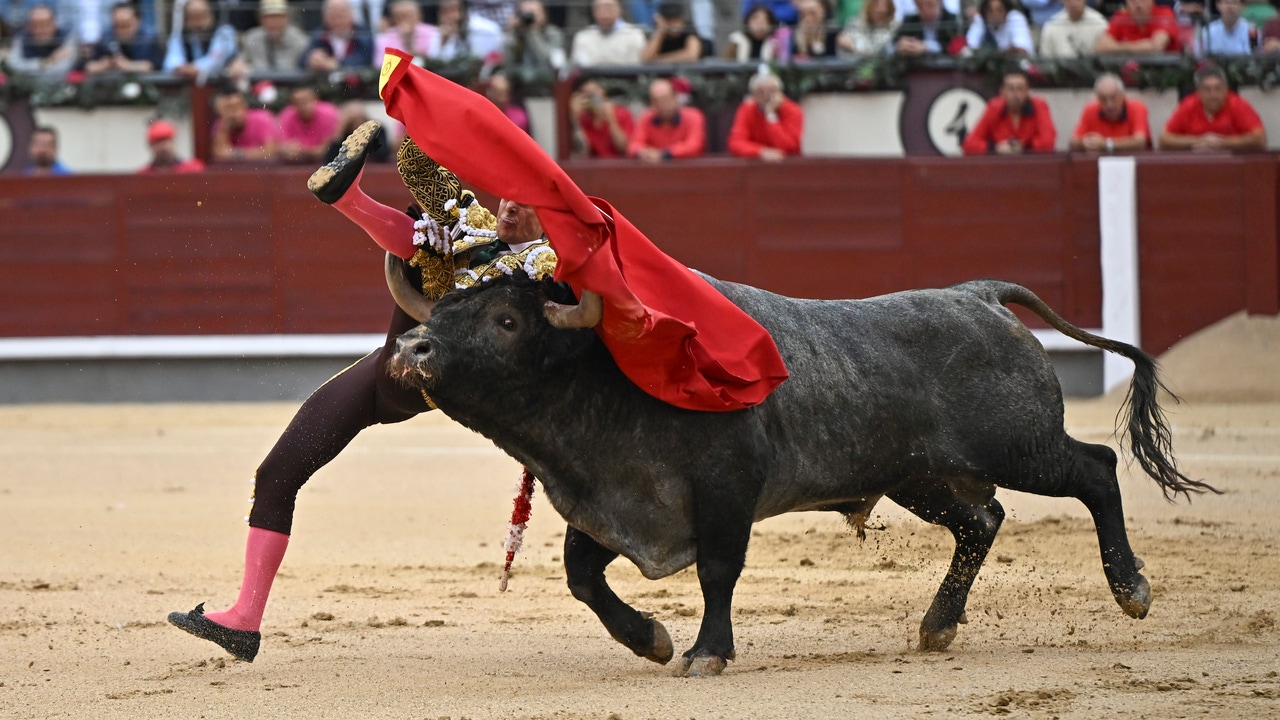 Espantosa cogida de Galván por un Victorino en Las Ventas (fotos y parte médico) y explosiva faena de Román