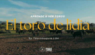 ‘Aprende a ver toros’ estrena su tercera temporada de la mano de Tauromaquia Like