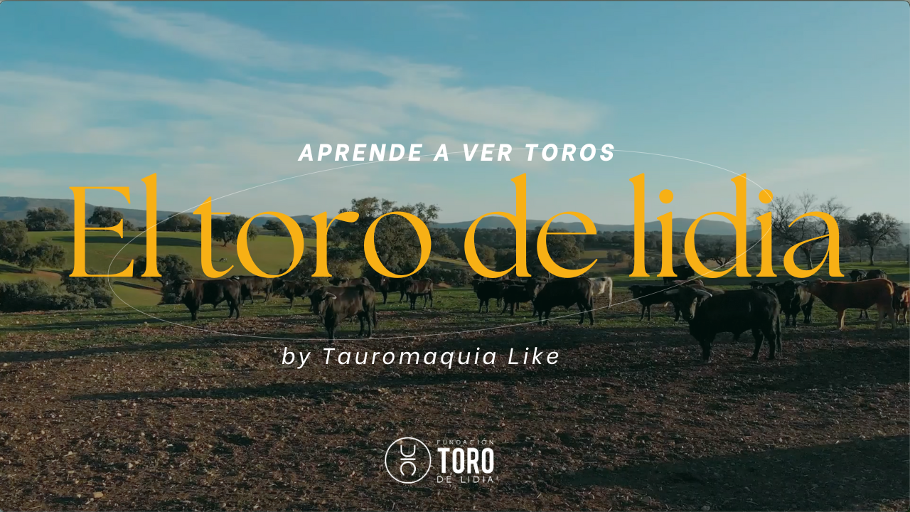 ‘Aprende a ver toros’ estrena su tercera temporada de la mano de Tauromaquia Like
