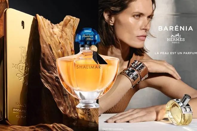 ¿Cuáles son los mejores perfumes del año?