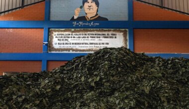 La Patria Grande pierde a una de sus revoluciones más emblemáticos con la nueva presidencia en Bolivia - El Mundo