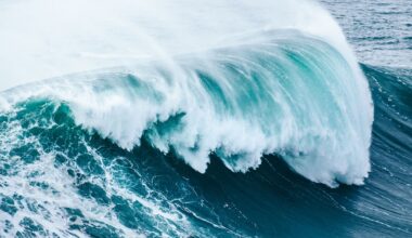 Descubren que el nivel del mar fue mucho más alto que el actual hace millones de años