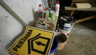 Lituania protesta por la incursión de dos aviones rusos en su territorio