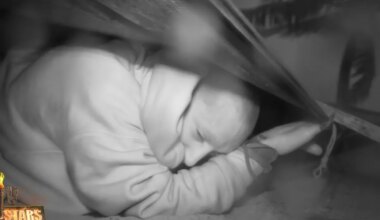 Las 48 horas de "terror" a las puertas de la final de Supervivientes All Stars - El Mundo