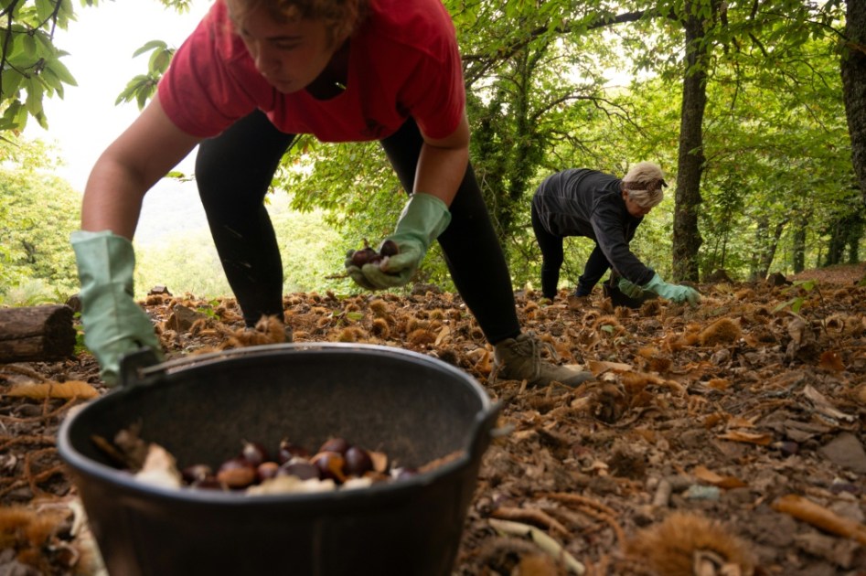 El PIB de España crece un 0,6 % en el tercer trimestre y mantiene su dinamismo
