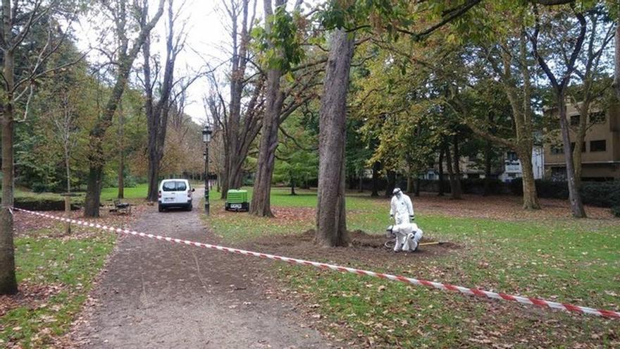Ingresa en prisión tras violar a un joven en el parque de Cristina Enea de Donostia