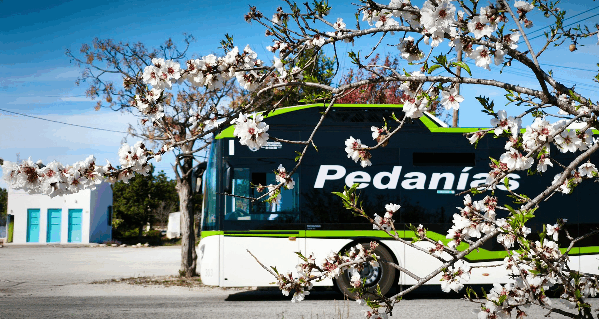 Autobuses a Elche - Ayuntamiento de Elche