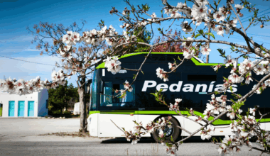Autobuses a Elche - Ayuntamiento de Elche