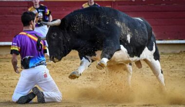Cinco recortadores abulenses, en el concurso de Ávila