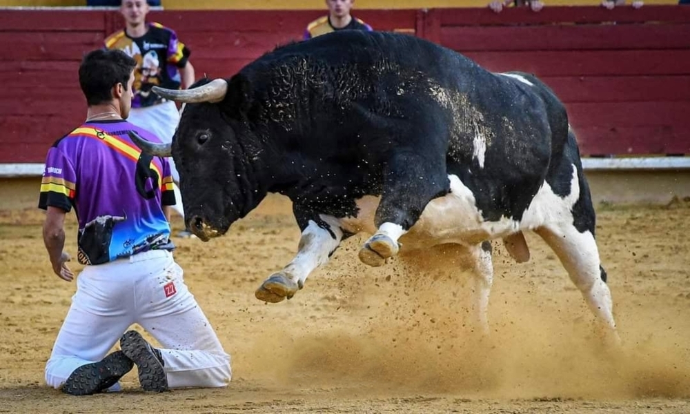 Cinco recortadores abulenses, en el concurso de Ávila
