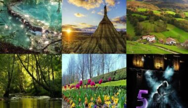 Las imágenes seleccionadas en el concurso.