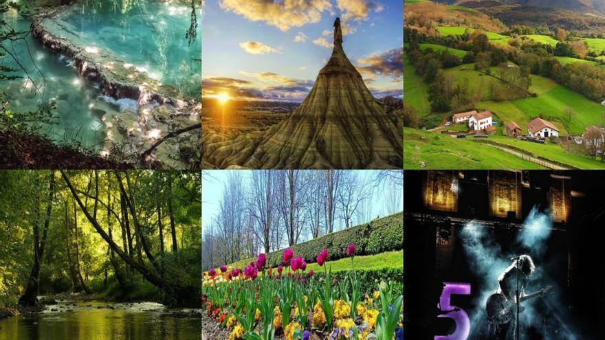 Las imágenes seleccionadas en el concurso.