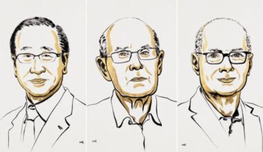 Tres científicos ganan el Premio Nobel de Química por su trabajo en arquitectura molecular, al estilo de Harry Potter