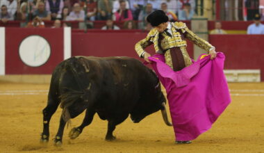 Crónica taurina | Demasiados picos para tan poco jamón... ¡Qué emoción!