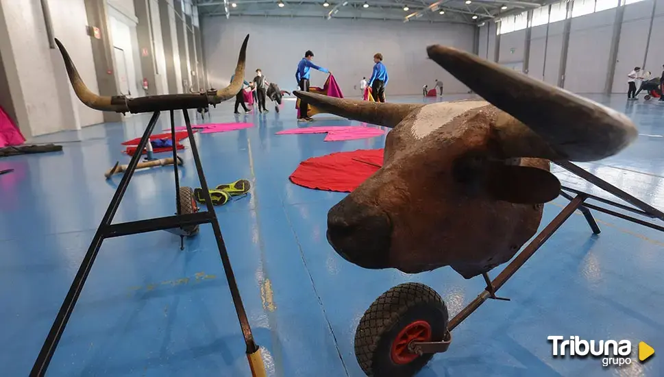 La Diputación de Salamanca niega inacción ante los presuntos casos de acoso en la Escuela de Tauromaquia