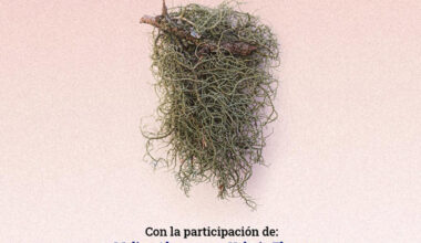 Un viaje a Misiones en el libro “Acuaticos”, que se presenta en Posadas