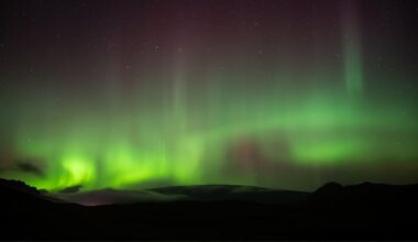 descubre cuándo y cómo verla