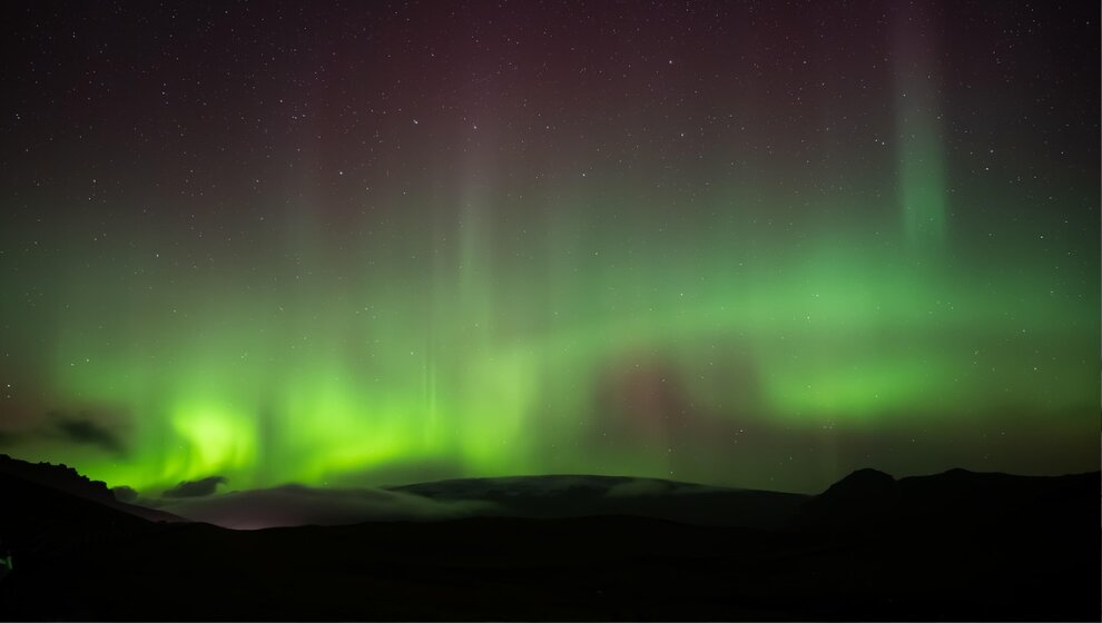 descubre cuándo y cómo verla