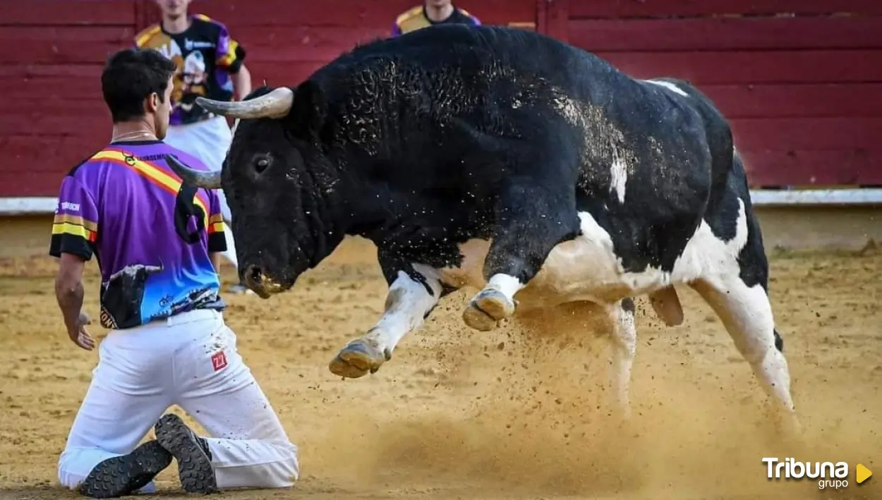 La Plaza de Toros de Ávila acoge un gran Concurso Nacional de Recortadores por Santa Teresa