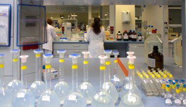 Andalucía lidera un consorcio internacional para investigar el envejecimiento celular como un factor clave de la diabetes tipo 1