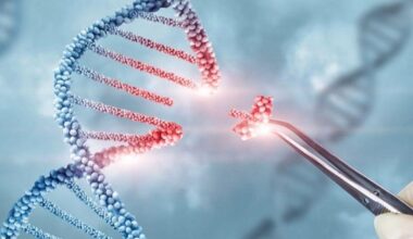 Un catálogo de “cicatrices” en el ADN contra el cáncer