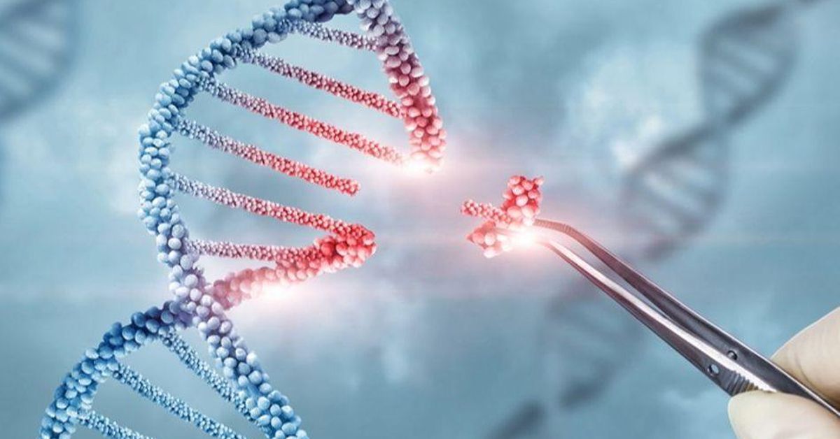 Un catálogo de “cicatrices” en el ADN contra el cáncer
