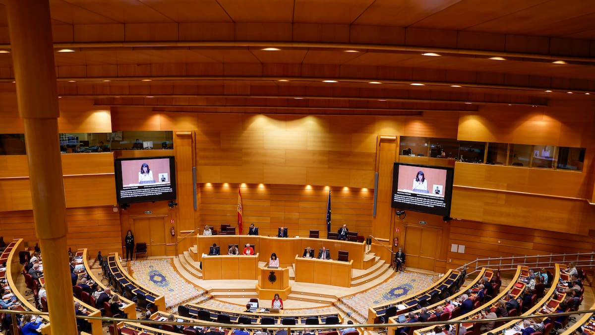 El PP tumba en el Senado una iniciativa que condenaba el genocidio en Gaza | Política