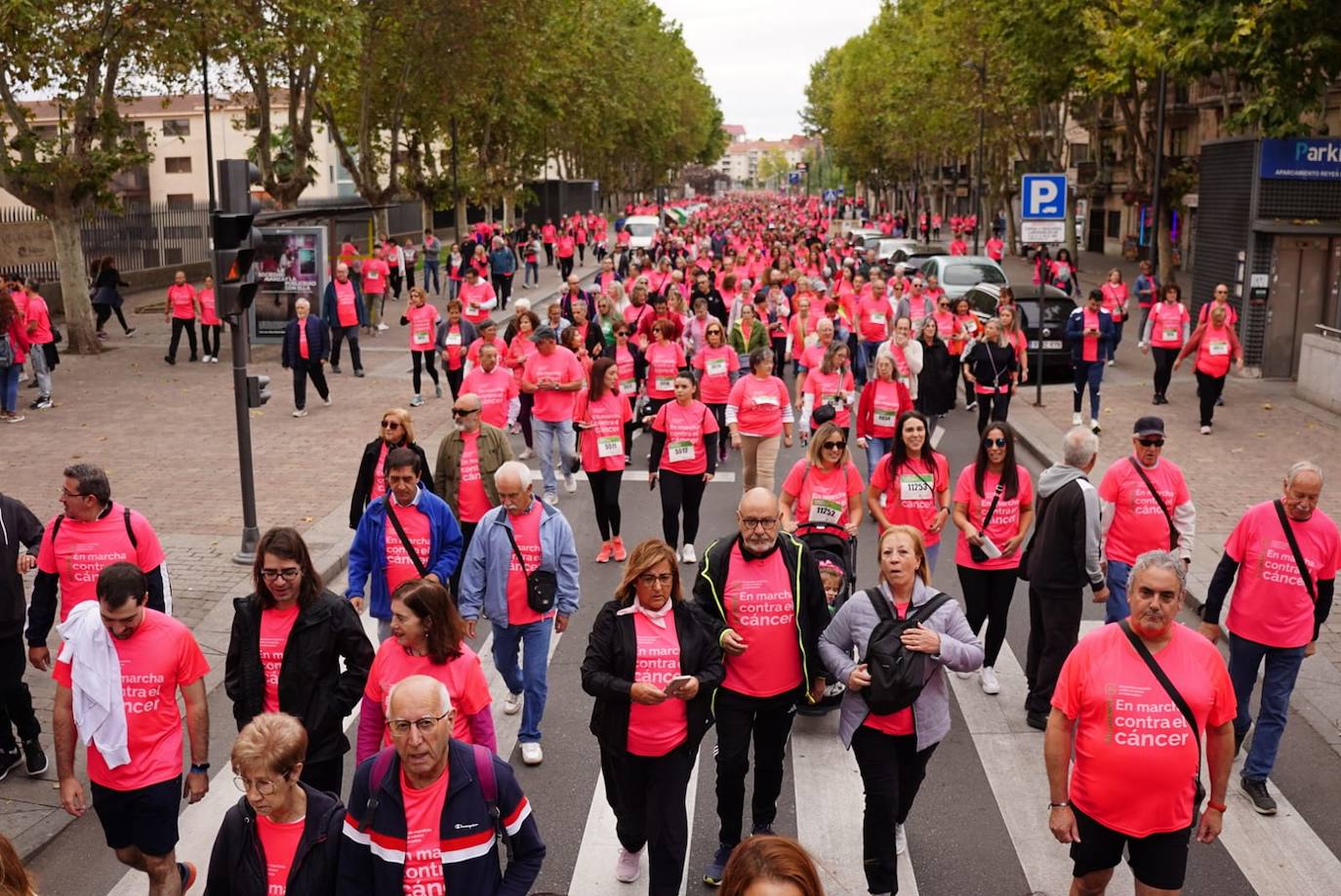 Salamanca 'se tiñe' de rosa por el cáncer