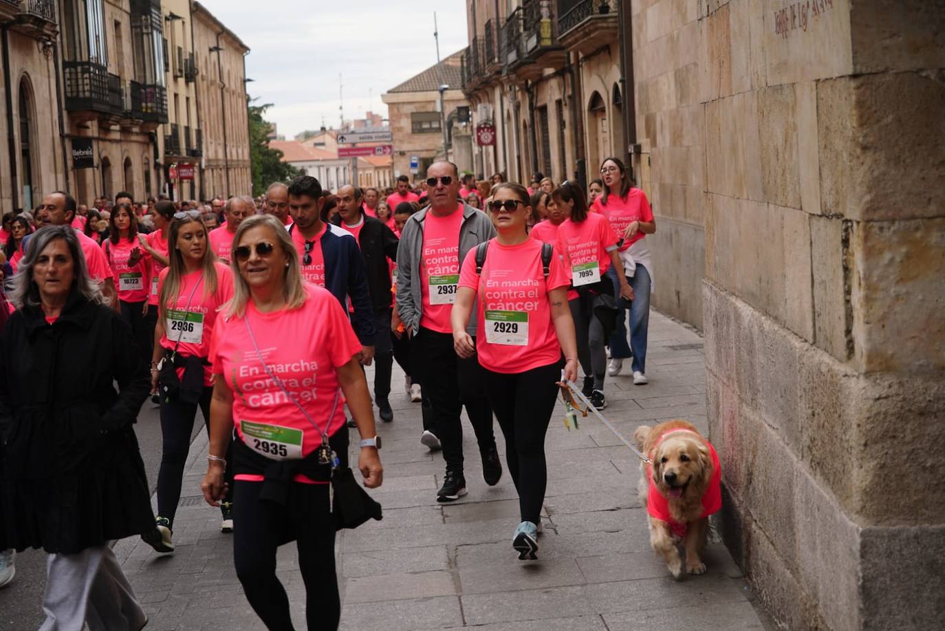 Salamanca 'se tiñe' de rosa por el cáncer