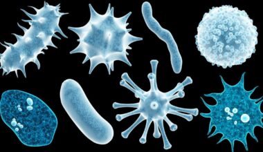 Virus y bacterias en Cataluña: ¿de qué enfermamos más?