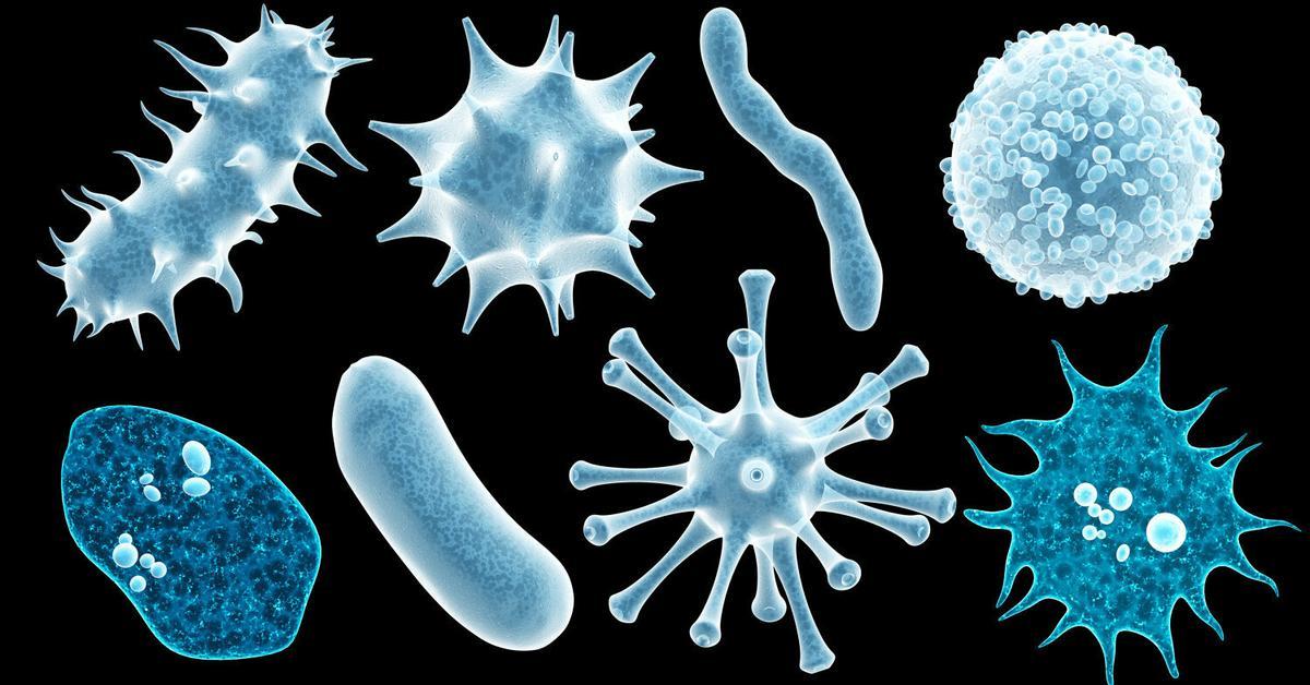 Virus y bacterias en Cataluña: ¿de qué enfermamos más?