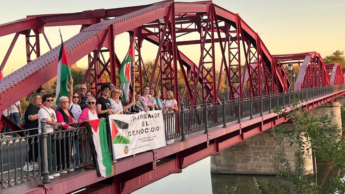 Cerca de 200 personas muestran su apoyo a Palestina y a la flotilla internacional en Talavera | Sociedad