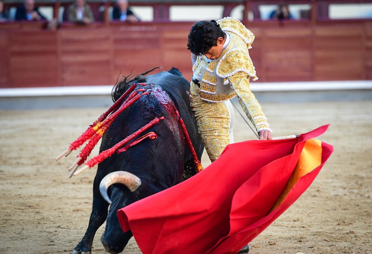 EL PAÍS