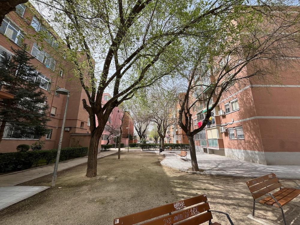 Actualidad buscador - ayto-pinto.es