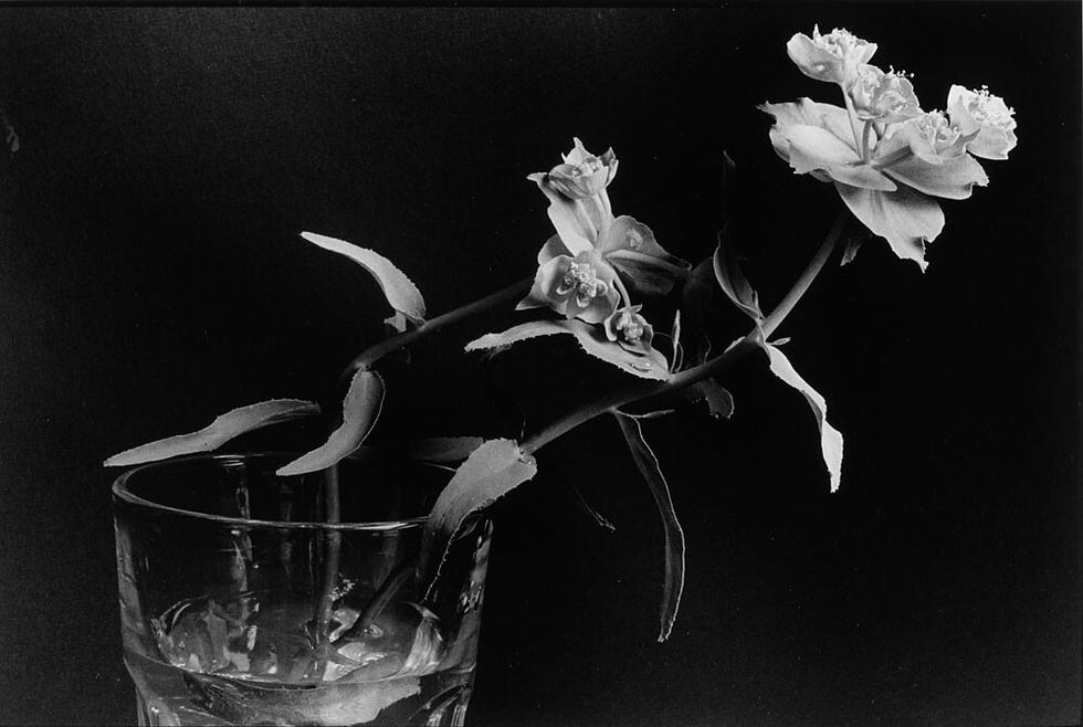 floral arrangement with glass of water