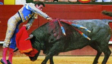 Encerrona de Enrique Ponce con seis toros de Victorino en Valencia