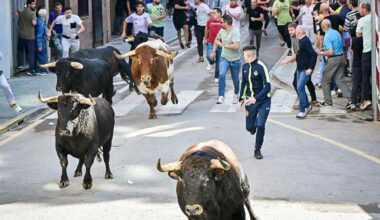 El Periódico Mediterráneo