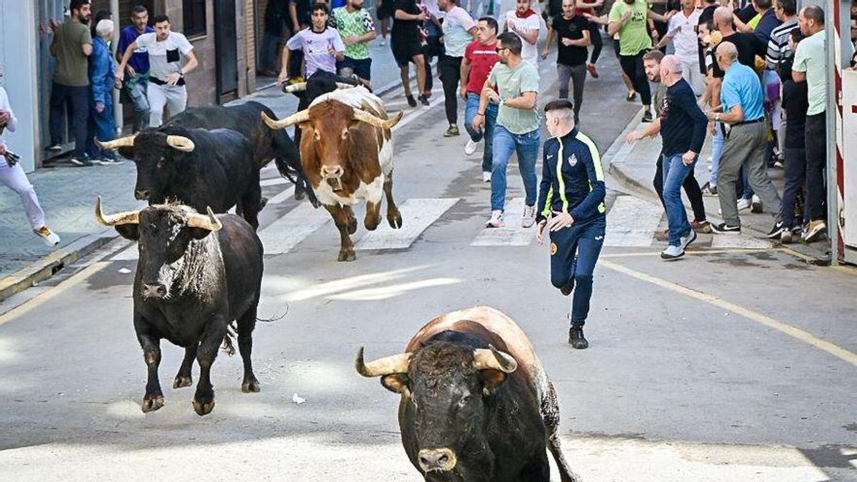 El Periódico Mediterráneo