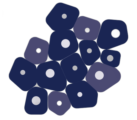 Icono de Acinetobacter spp.