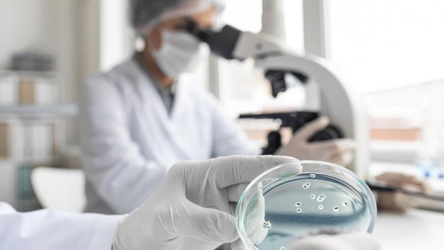 Euskadi lanza el Plan Oncológico 2030 con la comunicación científica como eje estructural