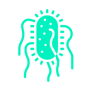 Icono de Salmonelas, Shigella o Pseudomonas