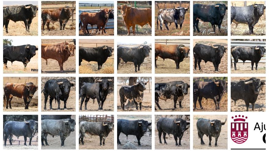 Los 27 toros que exhibirá Onda en la Fira 2025