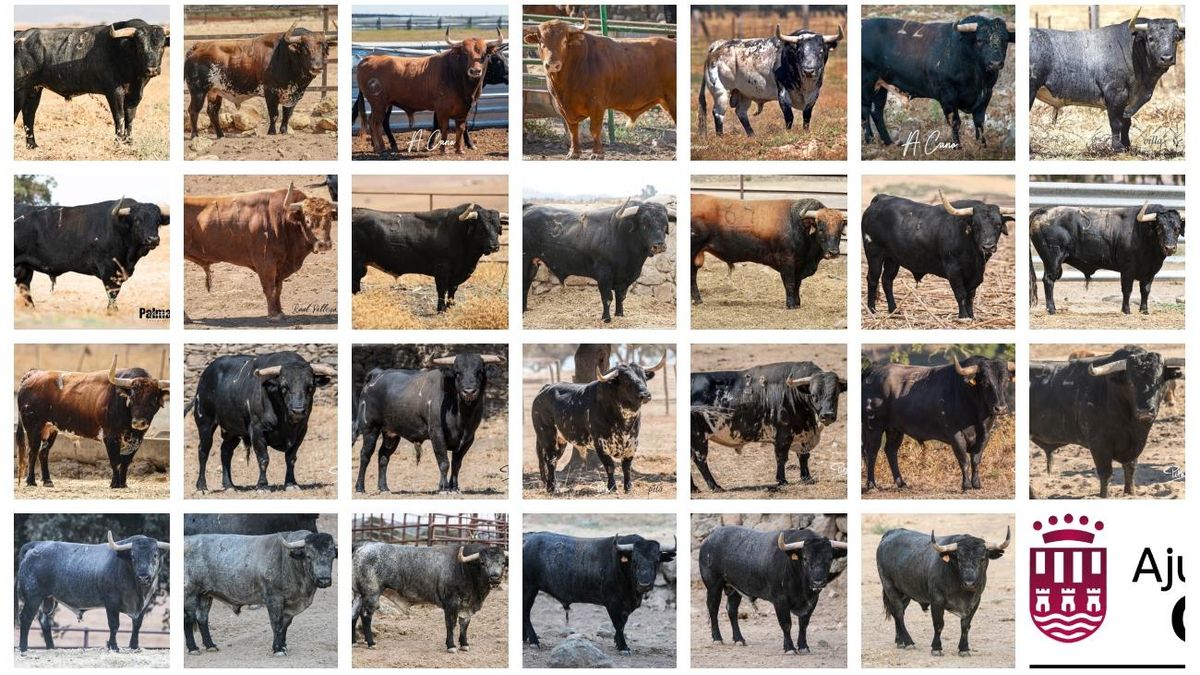 El Periódico Mediterráneo