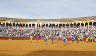 La asistencia a espectáculos de tauromaquia baja casi dos puntos en dos décadas